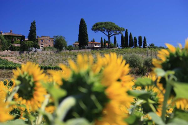 panorama-kod-monte-san-savino-u-srcu-toscane11418C0A-6EB0-C6B2-6CDF-DDBCED3884A3.jpg