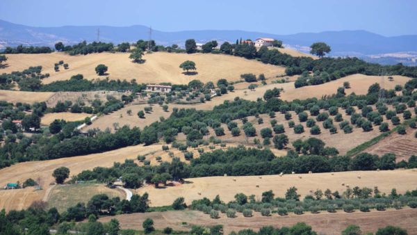 panorama-toscana-jugC09CCF57-417C-E09B-ED7C-6461C5EEBB68.jpg