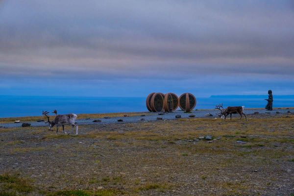 8-19-nordkapp-ujutroA3877C3B-0FFA-54B9-7BA8-0DFEA9AAB3FD.jpg