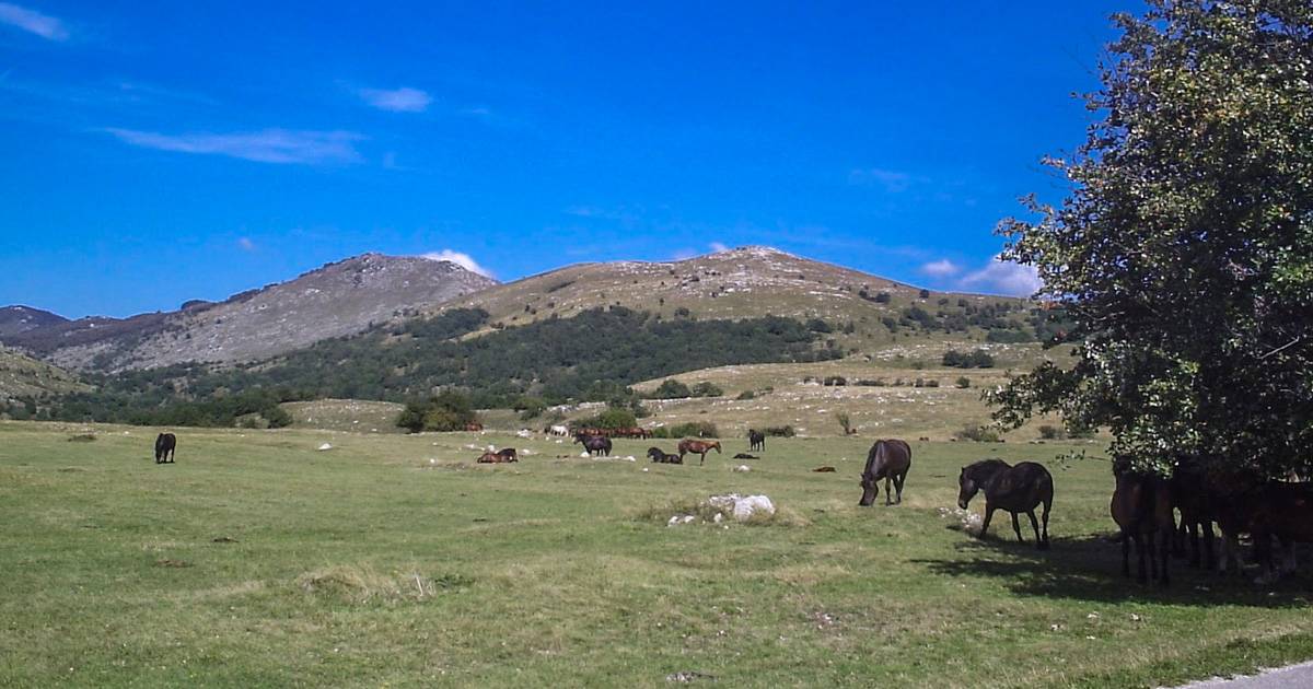 povijesne-ceste-prema-moru-8_original_copy_1